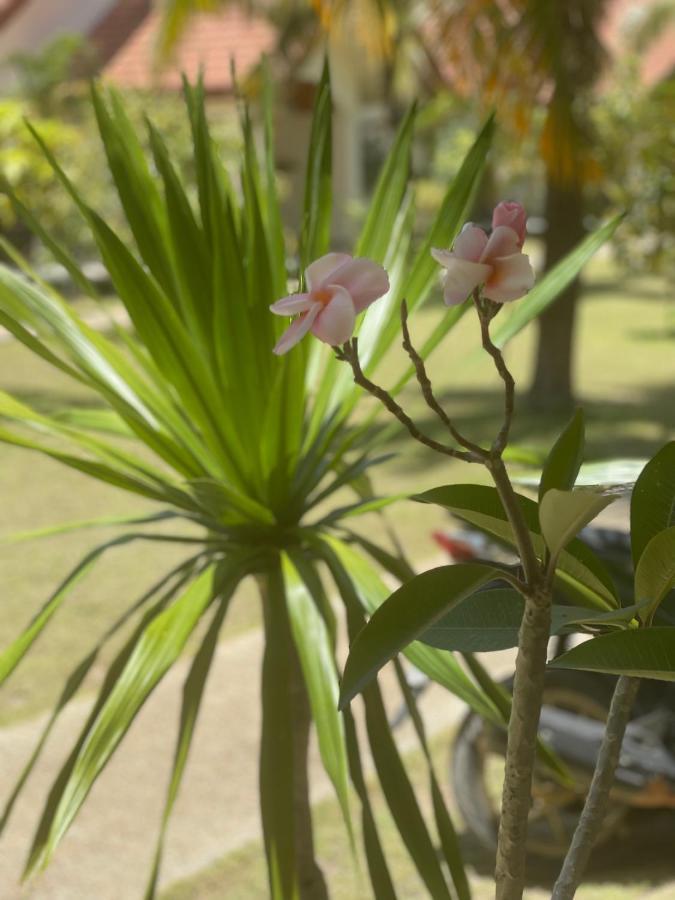 Paradis Villa A9, Koh Kho Khao Koh Kho Khao Island エクステリア 写真